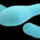 Illustration for article titled Drink Review - Alo Spring - Aloe Mixed Berry Botulism